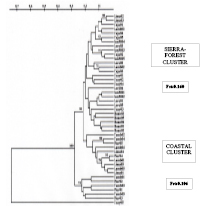 aedes.pdf