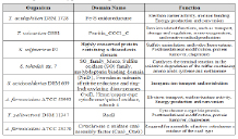 div_tables.pdf