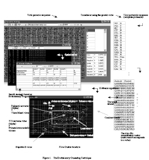identifying acidic similarities...pdf