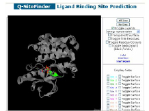 Q-SiteFinder.png