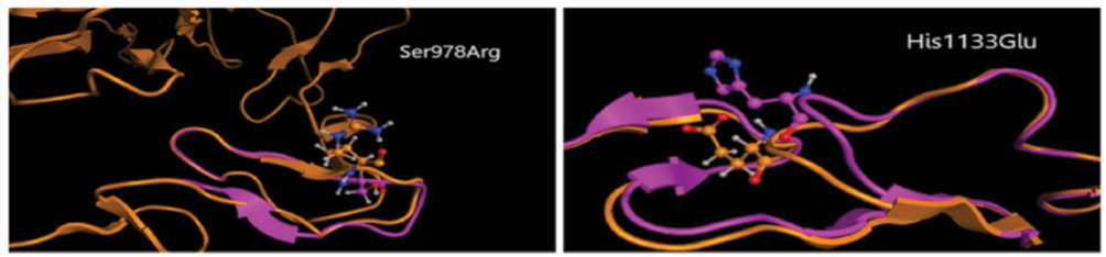 921-6568-1-SP.png