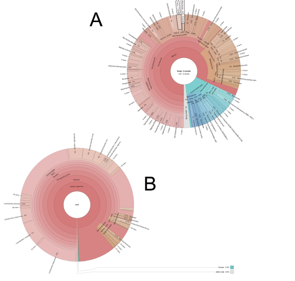 Figure%202%20-%20Krona%20Global%20FUNGI%20%26%20NR.png