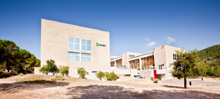 699-3817-4-SP.jpg