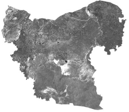 965-6936-1-SP.jpg