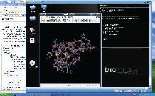 BioSLAX snapshot.jpg