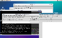 DNALinux snapshot.jpg