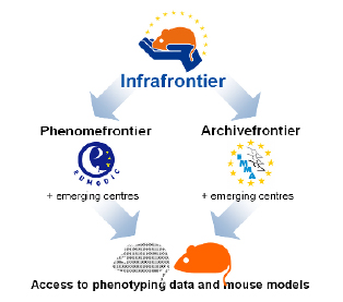 Figure 2 high res.jpg